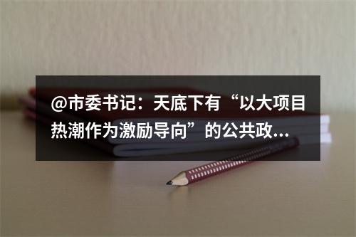 @市委书记：天底下有“以大项目热潮作为激励导向”的公共政策吗？