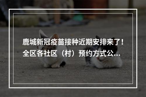 鹿城新冠疫苗接种近期安排来了！全区各社区（村）预约方式公布