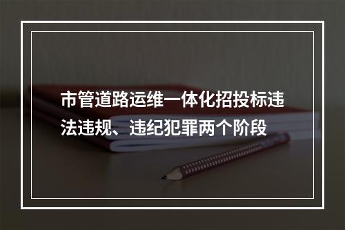 市管道路运维一体化招投标违法违规、违纪犯罪两个阶段