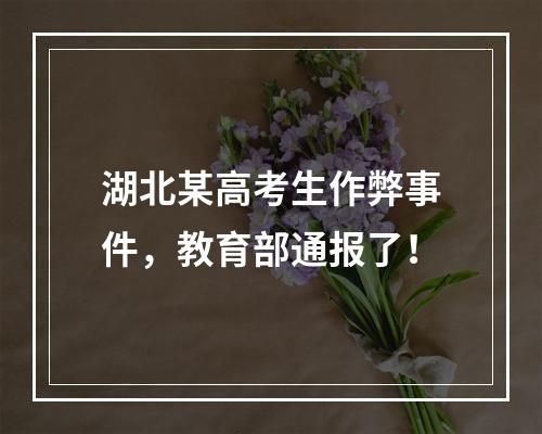 湖北某高考生作弊事件，教育部通报了！