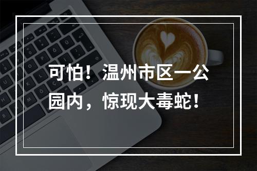 可怕！温州市区一公园内，惊现大毒蛇！