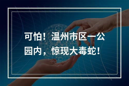 可怕！温州市区一公园内，惊现大毒蛇！