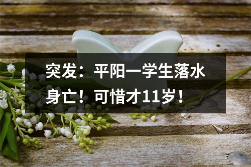 突发：平阳一学生落水身亡！可惜才11岁！