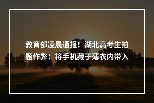 教育部凌晨通报！湖北高考生拍题作弊：将手机藏于薄衣内带入
