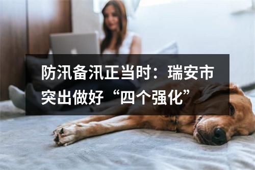 防汛备汛正当时：瑞安市突出做好“四个强化”