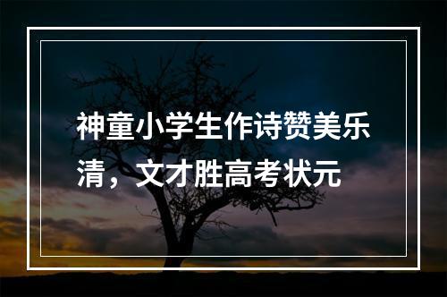 神童小学生作诗赞美乐清，文才胜高考状元