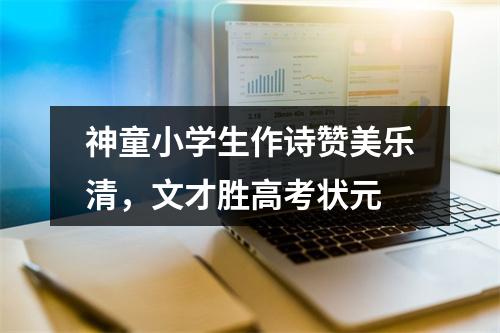 神童小学生作诗赞美乐清，文才胜高考状元