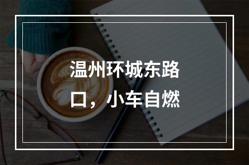 温州环城东路口，小车自燃