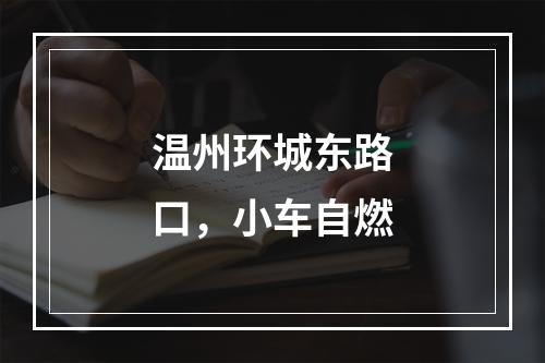 温州环城东路口，小车自燃