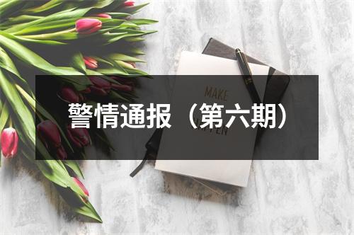 警情通报（第六期）