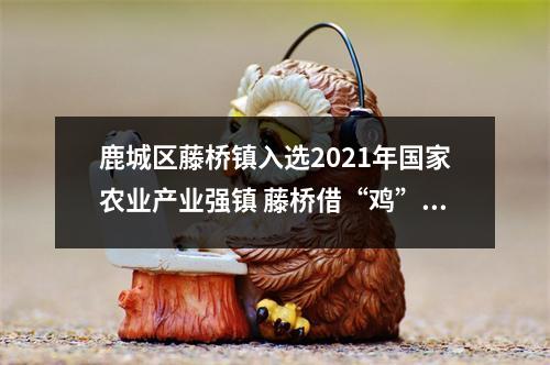 鹿城区藤桥镇入选2021年国家农业产业强镇 藤桥借“鸡”振翅腾飞