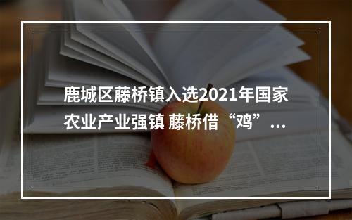 鹿城区藤桥镇入选2021年国家农业产业强镇 藤桥借“鸡”振翅腾飞