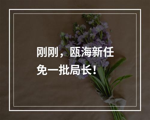 刚刚，瓯海新任免一批局长！