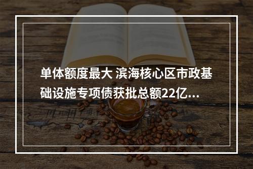 单体额度最大 滨海核心区市政基础设施专项债获批总额22亿元
