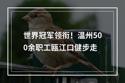 世界冠军领衔！温州500余职工瓯江口健步走