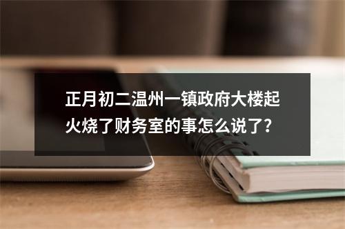 正月初二温州一镇政府大楼起火烧了财务室的事怎么说了？