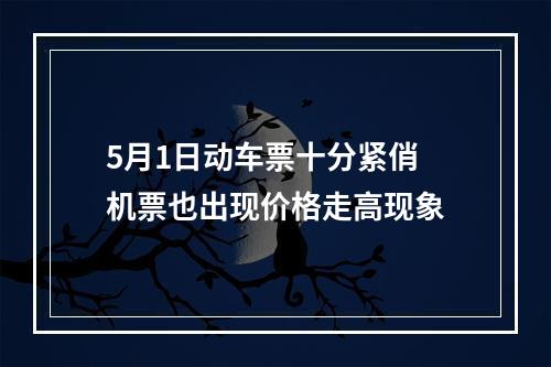 5月1日动车票十分紧俏 机票也出现价格走高现象