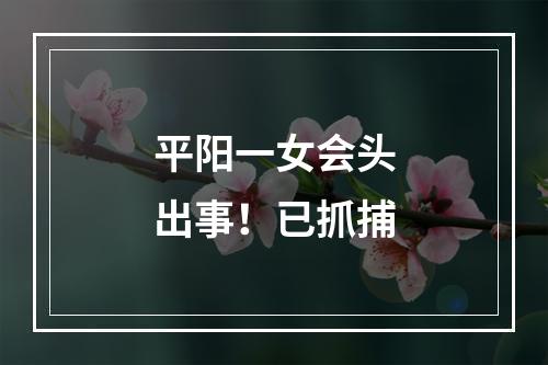 平阳一女会头出事！已抓捕