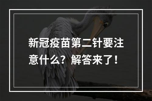 新冠疫苗第二针要注意什么？解答来了！
