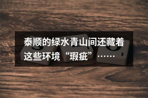 泰顺的绿水青山间还藏着这些环境“瑕疵”……
