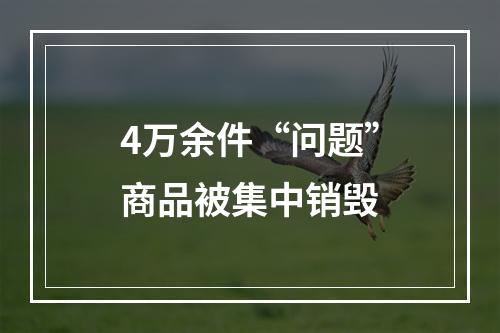 4万余件“问题”商品被集中销毁