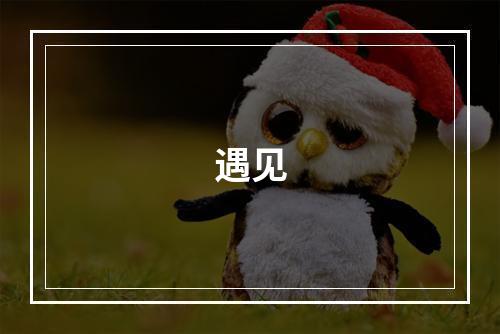 遇见