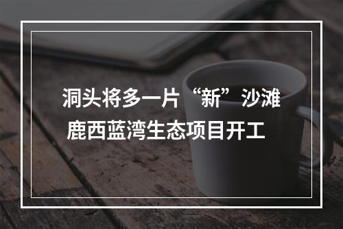 洞头将多一片“新”沙滩 鹿西蓝湾生态项目开工