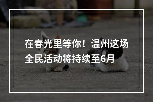 在春光里等你！温州这场全民活动将持续至6月