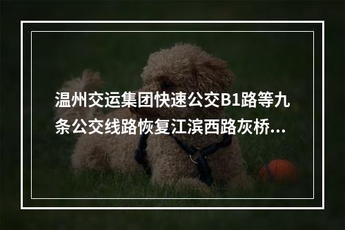 温州交运集团快速公交B1路等九条公交线路恢复江滨西路灰桥浦桥双向运行