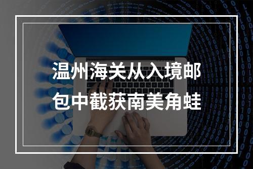 温州海关从入境邮包中截获南美角蛙