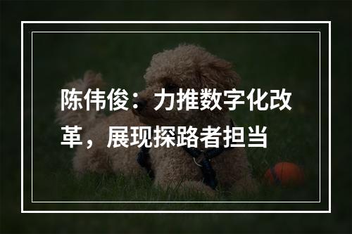 陈伟俊：力推数字化改革，展现探路者担当