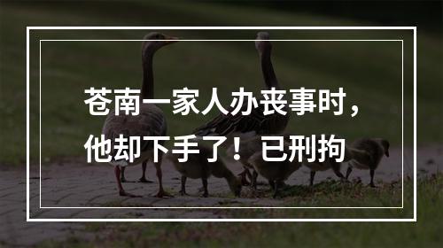 苍南一家人办丧事时，他却下手了！已刑拘