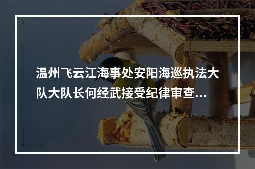 温州飞云江海事处安阳海巡执法大队大队长何经武接受纪律审查和监察调查