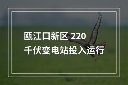 瓯江口新区 220千伏变电站投入运行