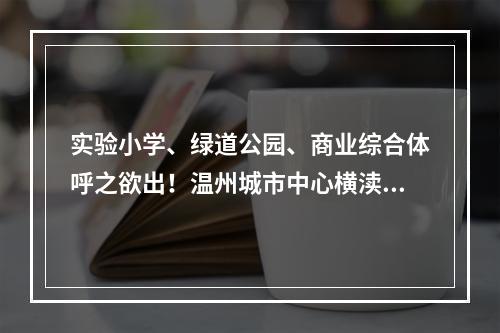 实验小学、绿道公园、商业综合体呼之欲出！温州城市中心横渎片区蝶变升级