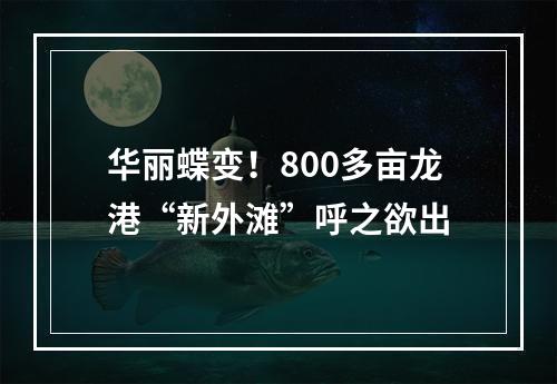 华丽蝶变！800多亩龙港“新外滩”呼之欲出