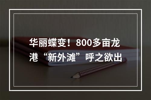 华丽蝶变！800多亩龙港“新外滩”呼之欲出