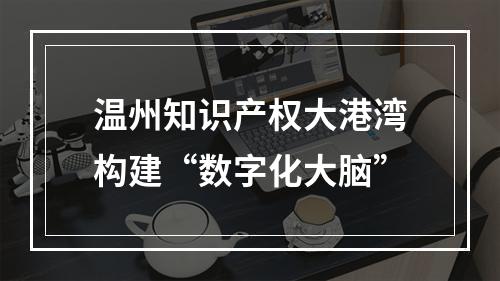 温州知识产权大港湾构建“数字化大脑”