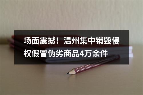 场面震撼！温州集中销毁侵权假冒伪劣商品4万余件