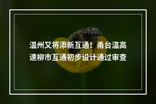 温州又将添新互通！甬台温高速柳市互通初步设计通过审查