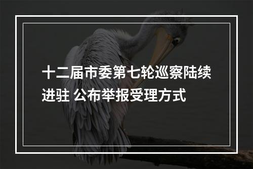 十二届市委第七轮巡察陆续进驻 公布举报受理方式