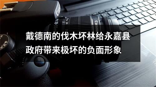 戴德南的伐木坏林给永嘉县政府带来极坏的负面形象
