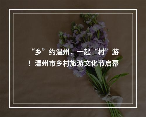 “乡”约温州，一起“村”游！温州市乡村旅游文化节启幕