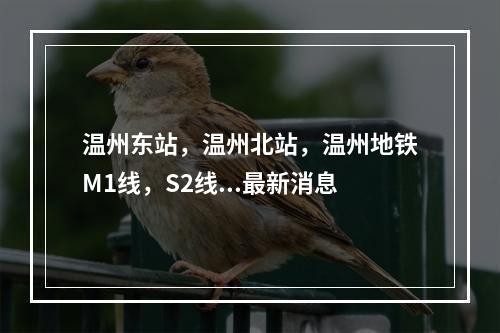 温州东站，温州北站，温州地铁M1线，S2线...最新消息