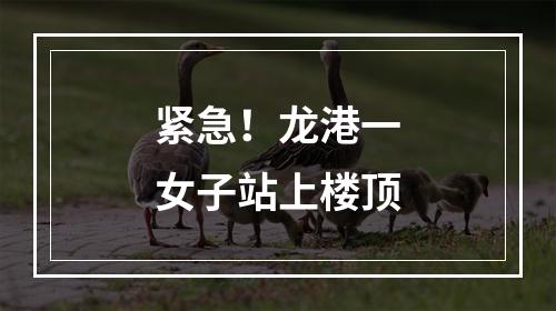 紧急！龙港一女子站上楼顶