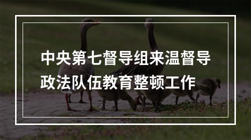 中央第七督导组来温督导政法队伍教育整顿工作