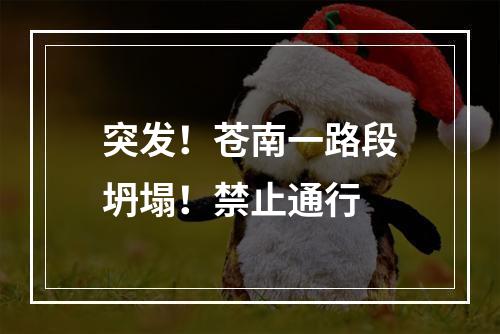 突发！苍南一路段坍塌！禁止通行
