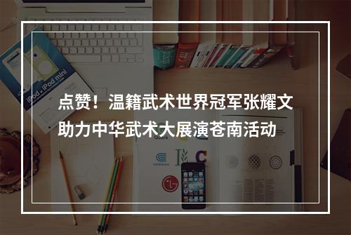点赞！温籍武术世界冠军张耀文助力中华武术大展演苍南活动