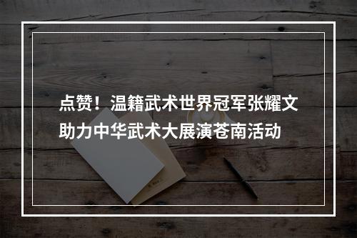 点赞！温籍武术世界冠军张耀文助力中华武术大展演苍南活动
