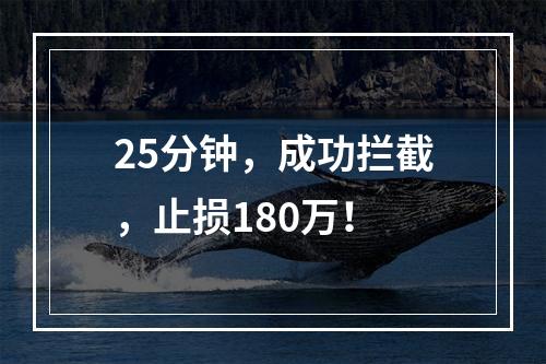25分钟，成功拦截，止损180万！